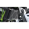 Radiator Trim photo thumbnail 3