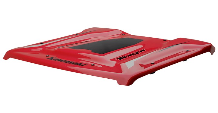 Polycarbonate Roof, Red detail photo 2