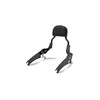 KQR Passenger Backrest, Black photo thumbnail 1