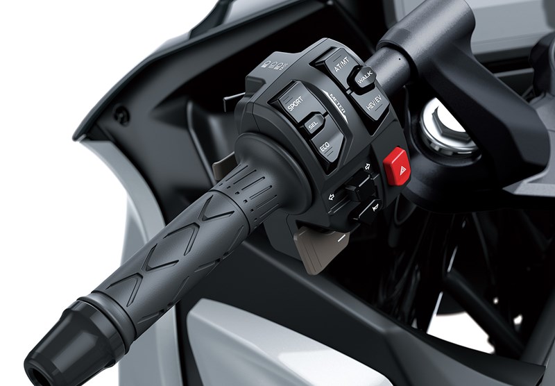 HYBRIDE : ÉQUITATION SPORTIVE