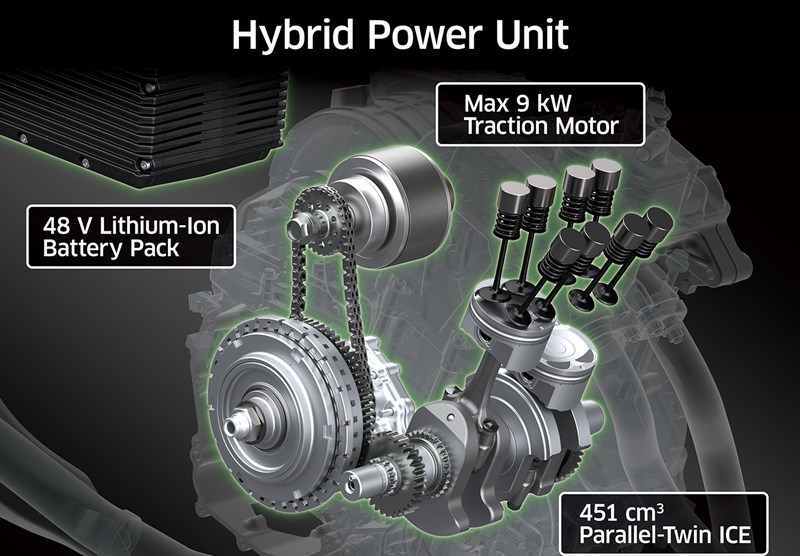 HYBRIDE : ÉQUITATION SPORTIVE