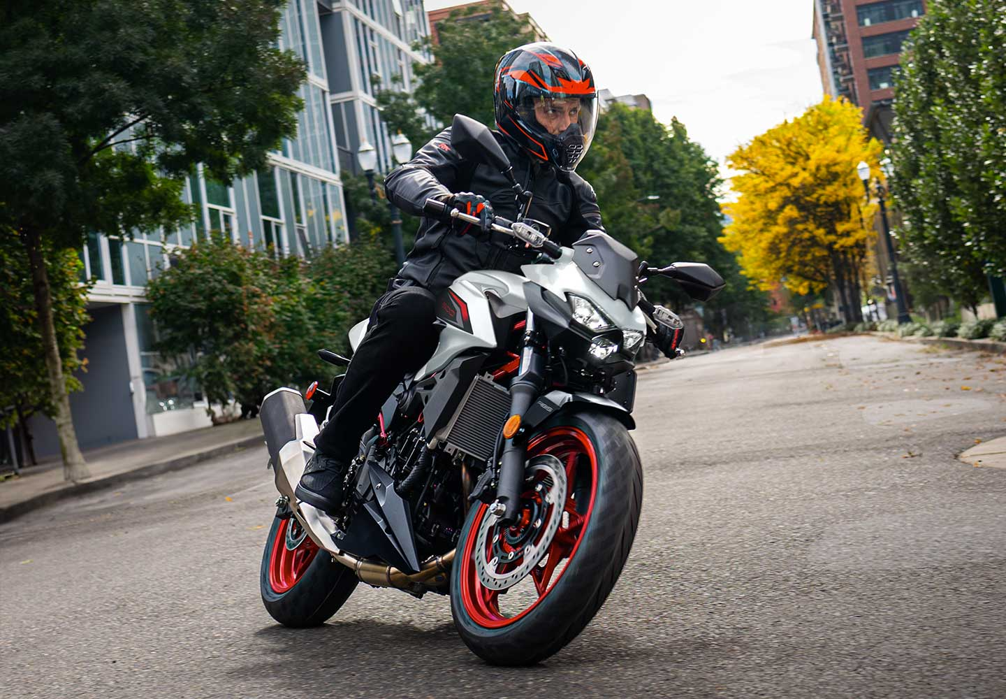 Kawasaki Z500| Supernaked Motorcycle | Aggressive Styling