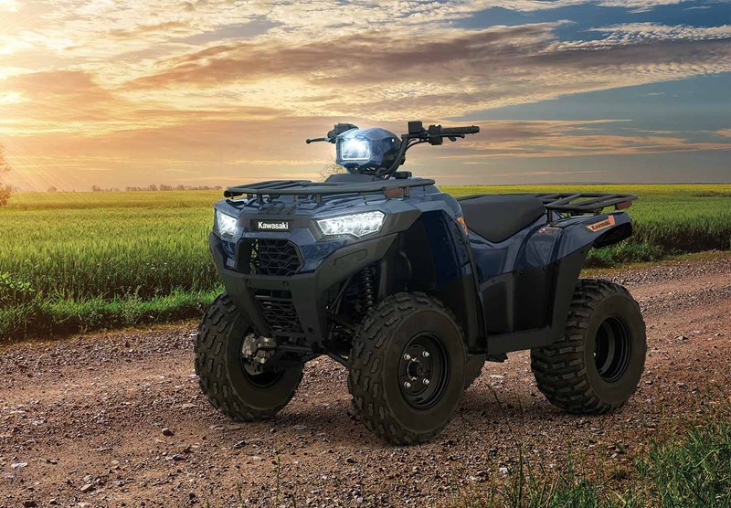 BRUTE FORCE FAMILY IMAGE