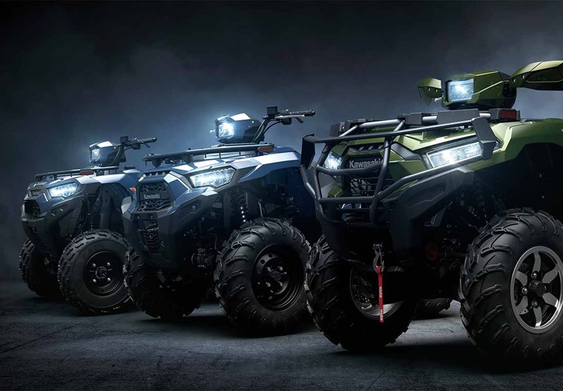 BRUTE FORCE FAMILY IMAGE