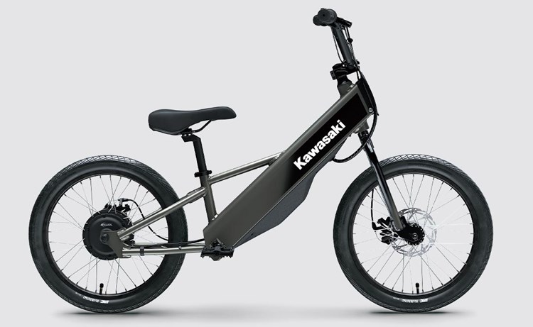 ELEKTRODE 20