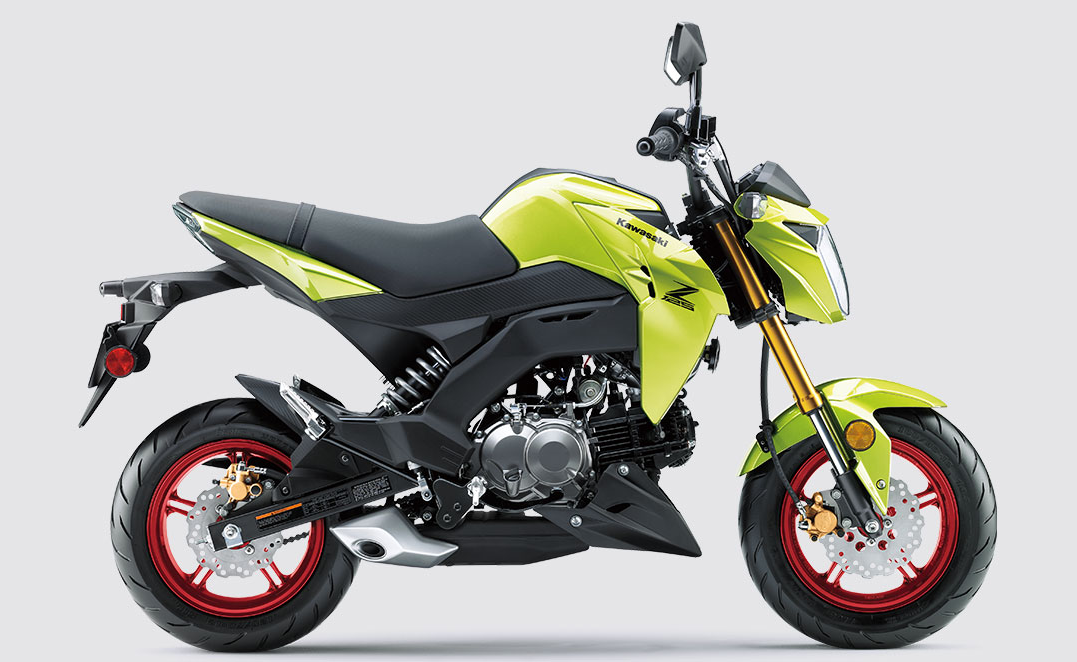 Kawasaki Z125 PRO | Naked Motorcycle | Nimble & Peppy