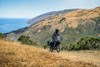 2023 KLR650 ADVENTURE