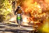 2023 KLX300