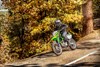 2023 KLX300