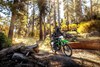 2023 KLX300