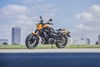 2024 ELIMINATOR SE