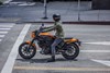 2024 ELIMINATOR SE