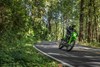 2024 KLX300