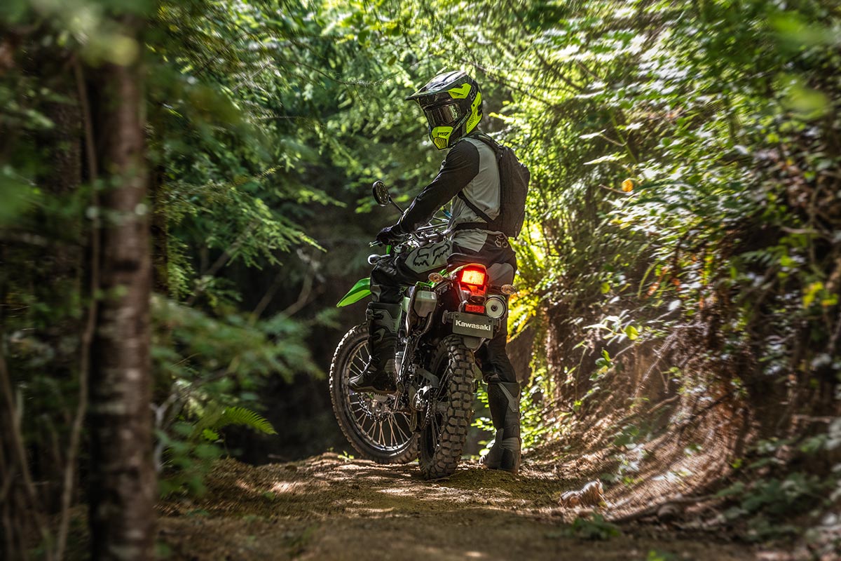 2024 KLX300