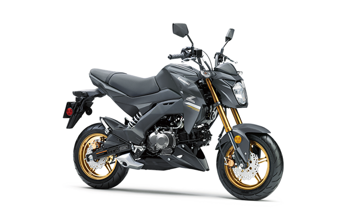 Metallic Matte Dark Gray