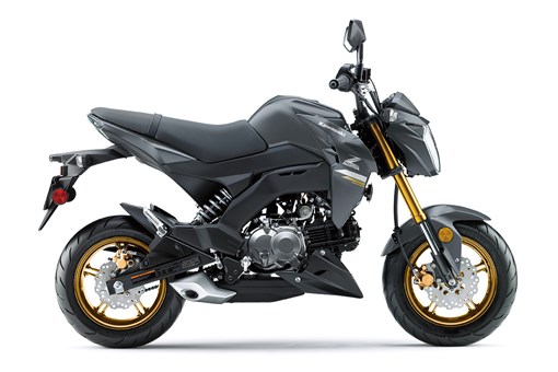 2024 Z125 PRO