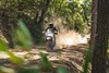 2024 KLR650 