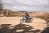 2024 KLR650 