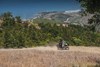 2024 KLR650 