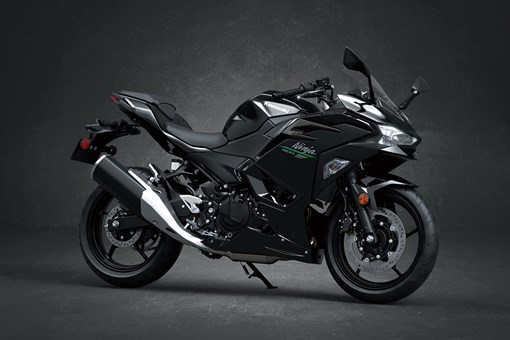 2024 NINJA 500