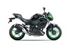 2024 Z500 SE