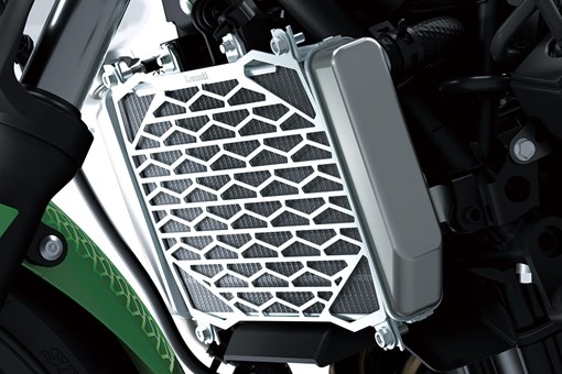 2024 NINJA 500 SE KRT EDITION