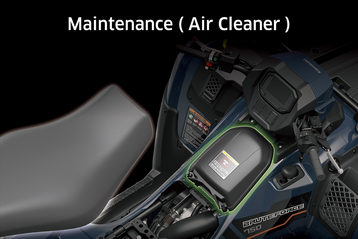 2024 BRUTE FORCE 750 EPS