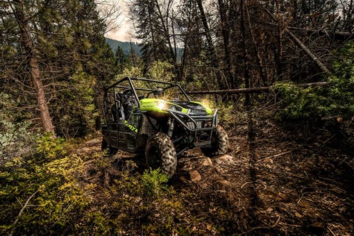 2025 TERYX4 