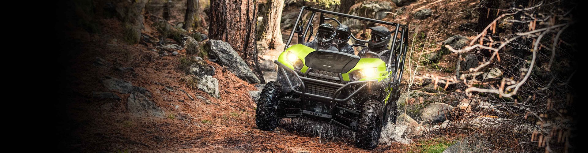 2025 Kawasaki Teryx4 Base - Neon