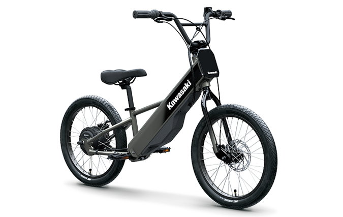 2025 Kawasaki ELEKTRODE 20FS