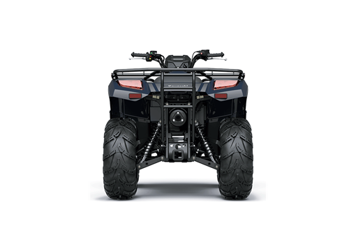 2025 BRUTE FORCE 450