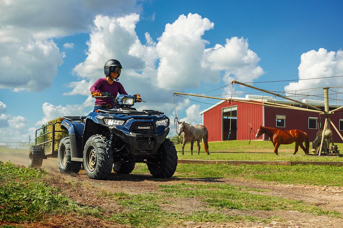 2025 BRUTE FORCE 450