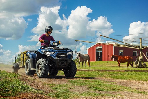 2025 BRUTE FORCE 450