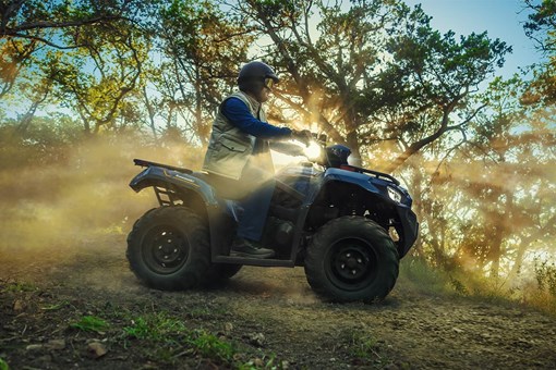 2025 BRUTE FORCE 450