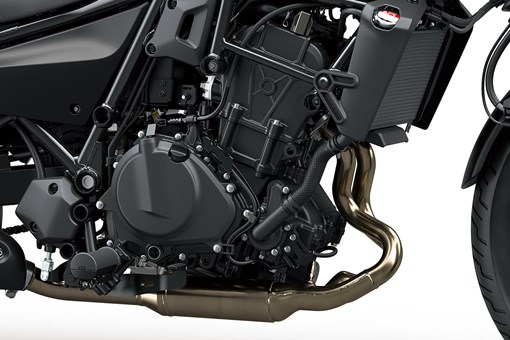 2025 ELIMINATOR 500 SE