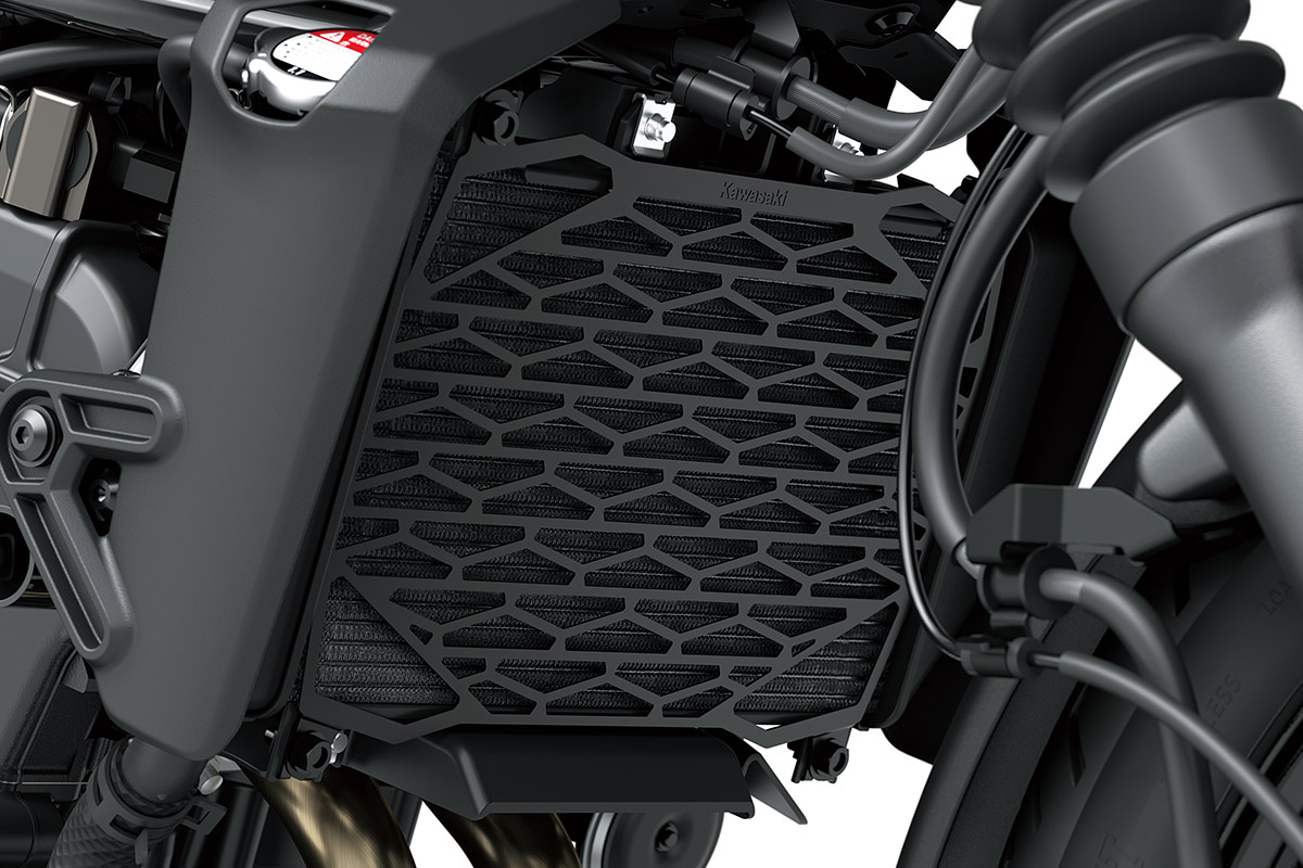 2025 ELIMINATOR 500 SE