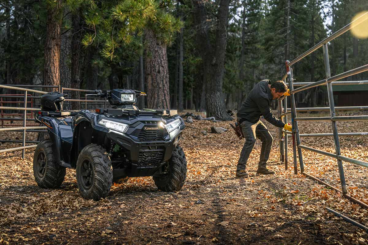 2025 BRUTE FORCE 750 EPS