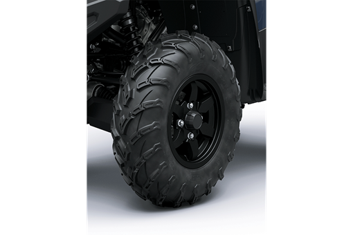 2025 BRUTE FORCE 750 EPS