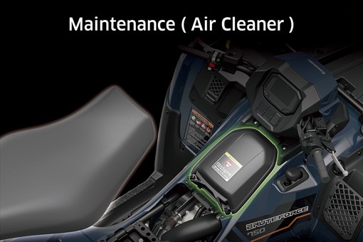 2025 BRUTE FORCE 750 EPS