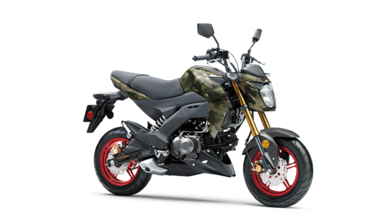 Kawasaki Z125 PRO | Naked Motorcycle | Nimble & Peppy