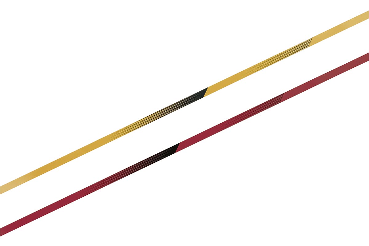 2025 VERSYS 1100 LT SE