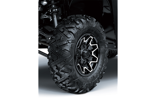 2025 RIDGE LIMITED HVAC