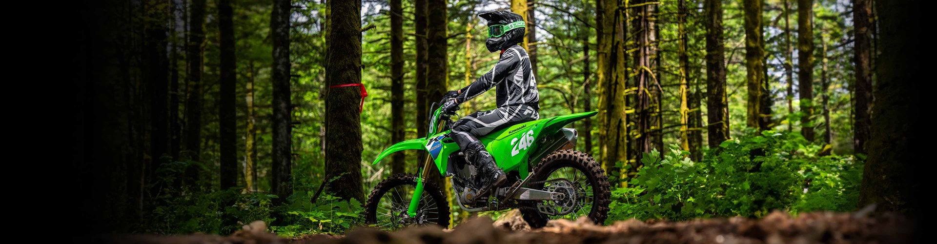 2026 Kawasaki KX™ 250X - Lime Green