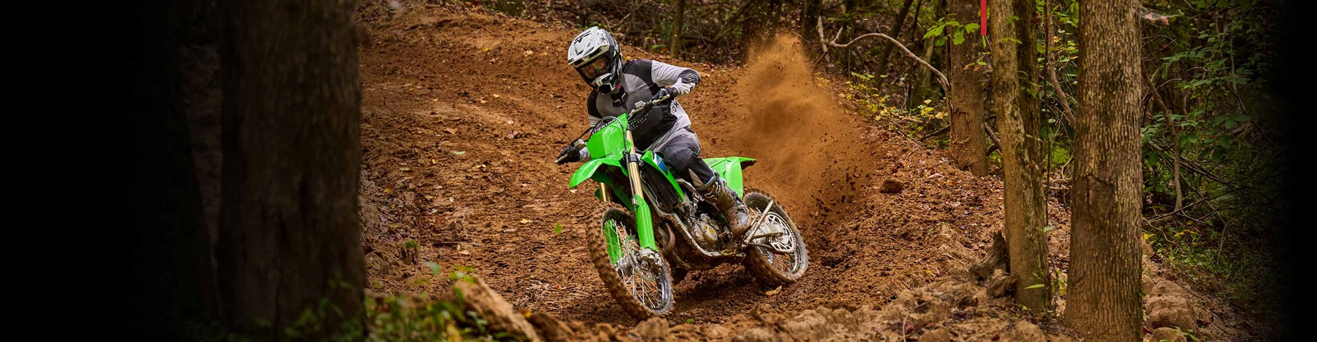 2026 Kawasaki KX™ 450X GREEN