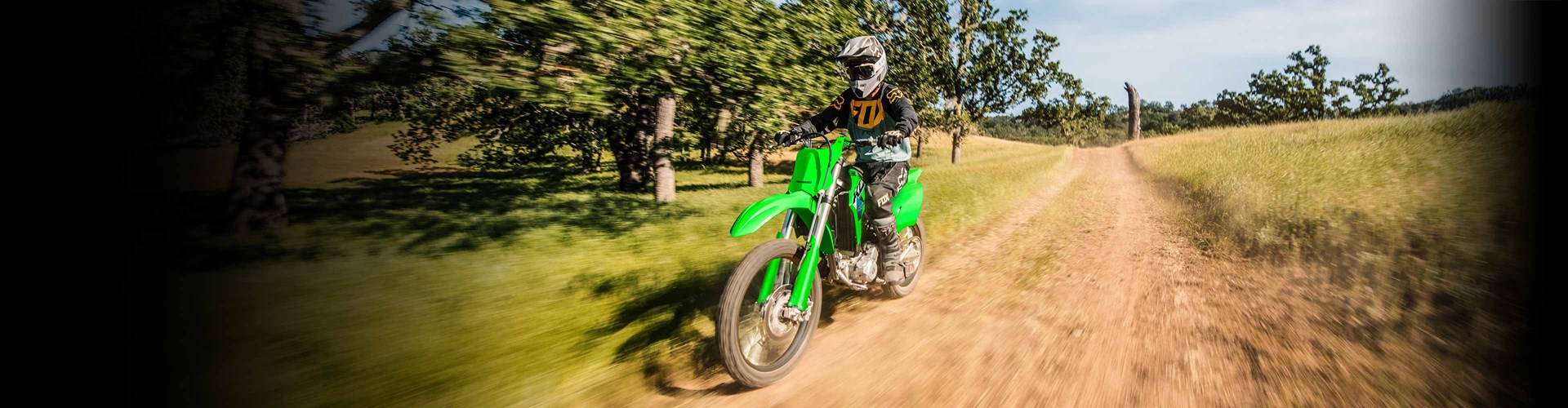 2026 Kawasaki KLX® 300R - Lime Green