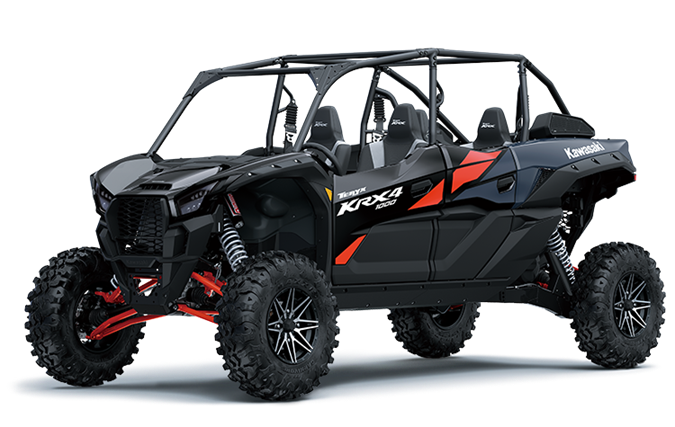 Bleu Grisâtre / Noir Intense