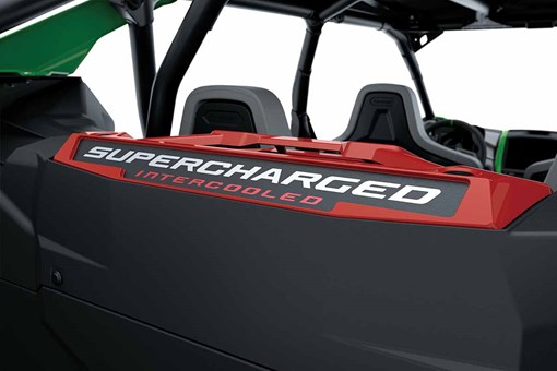 2026 TERYX5 H2 DELUXE eS