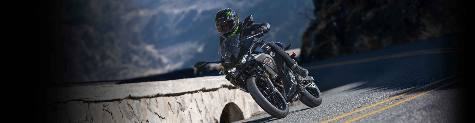 2026 Kawasaki Ninja® 500 ABS-Metallic Flat