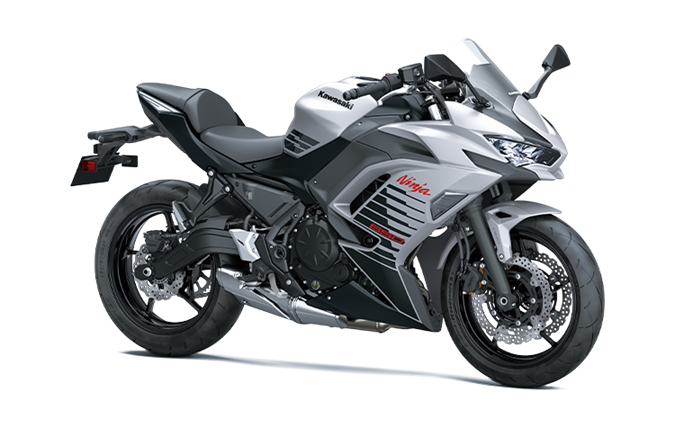 Argent Blanchâtre Mat Métallisé / Noir Étincelle Mat Métallisé