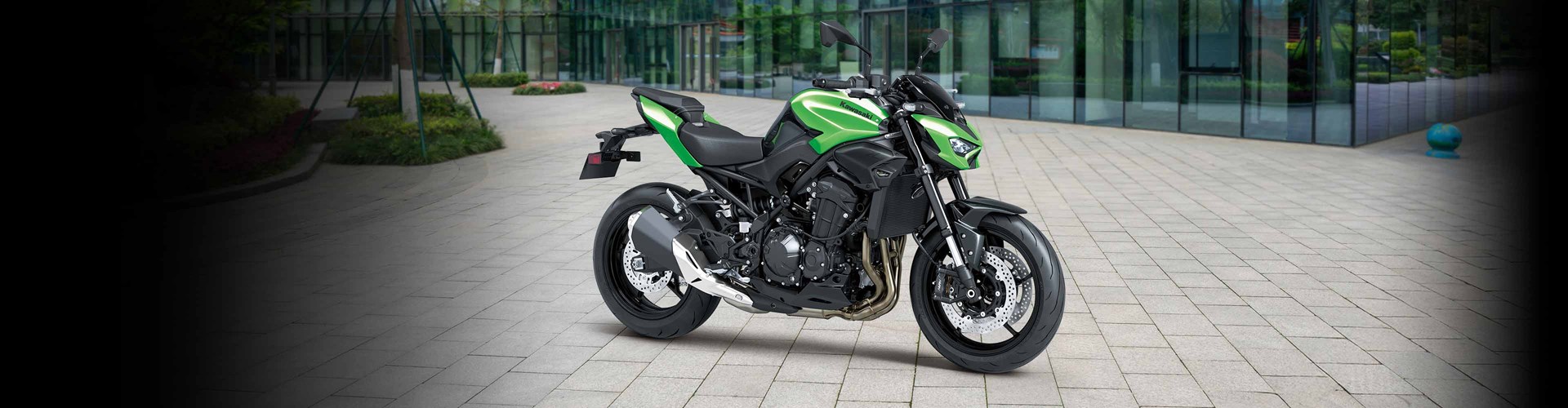 2025 Kawasaki Z900 ABS - Metallic Carbon